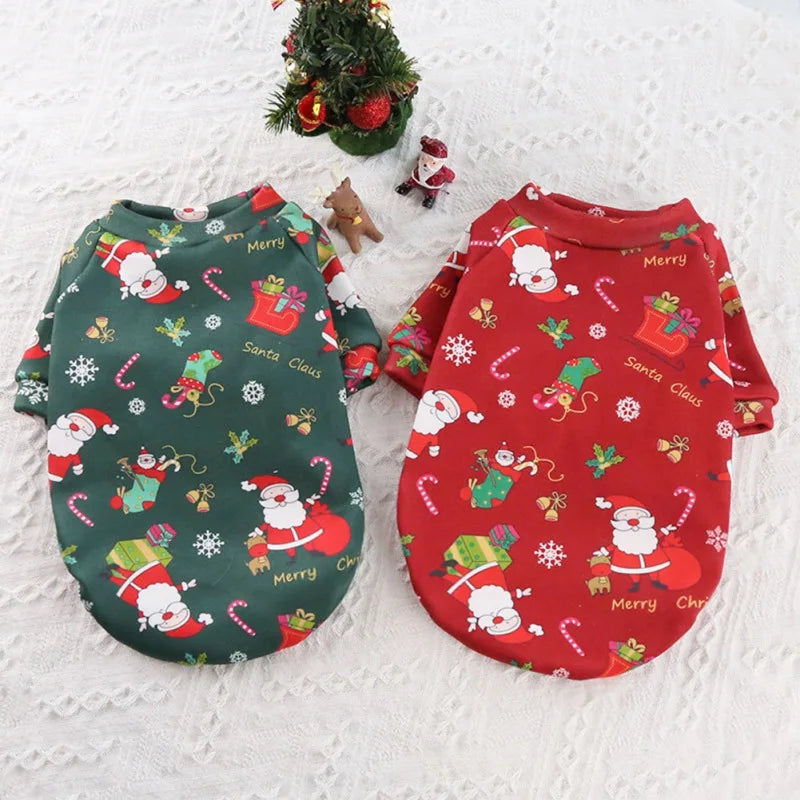 Pawsitive Styles Christmas Sweater – Cozy Holiday Comfort