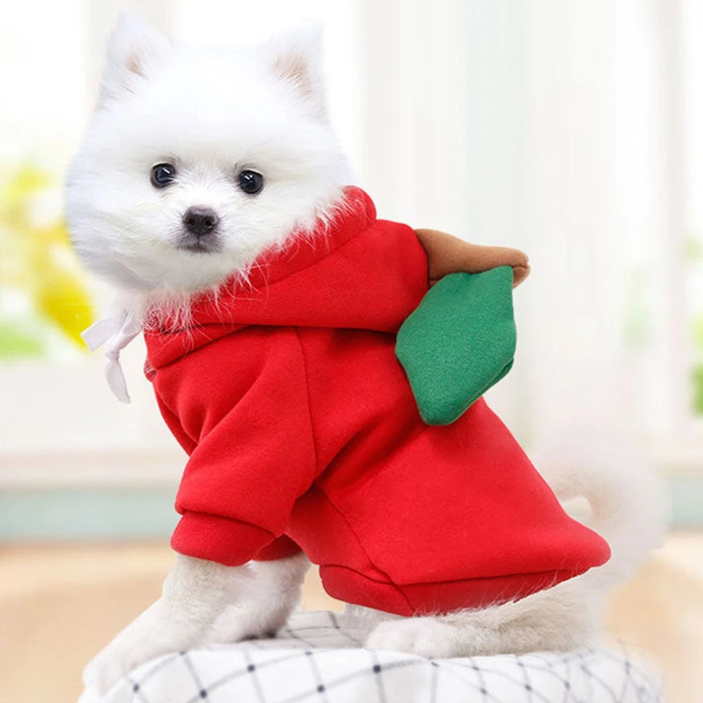 Pawfect Style Fleece Dog Hoodie – Cozy Winter Warmth