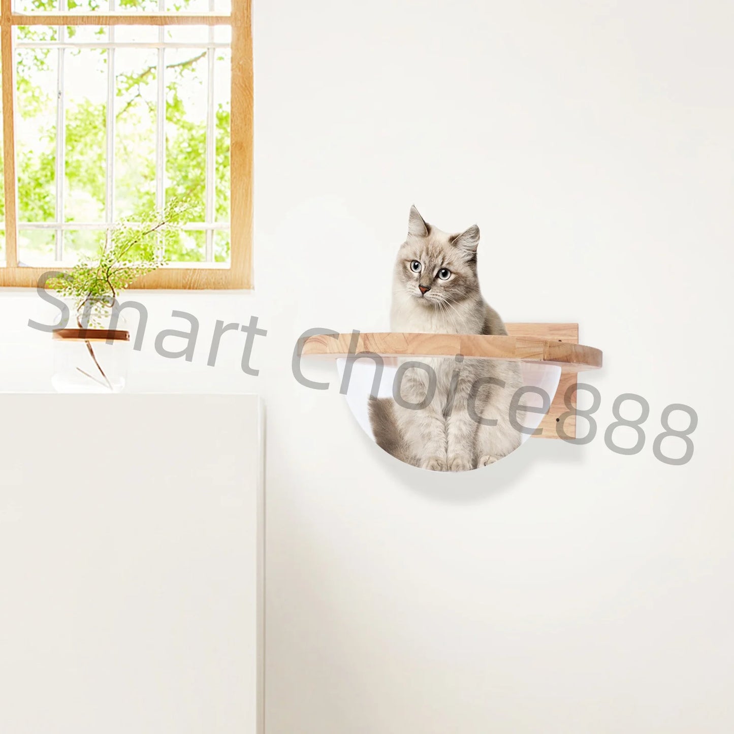 Cat Space Capsule Transparent Cover Bed for Small Pets