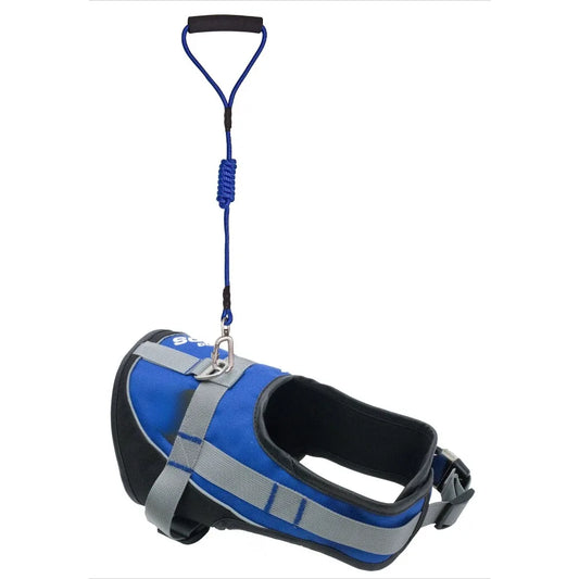 3M Reflective Endurance 2-in-1 Adjustable Dog Leash and Harness for Puppies