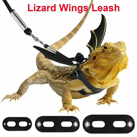 Lizard Leash Reptile Harness for Outdoor Pet Supplies